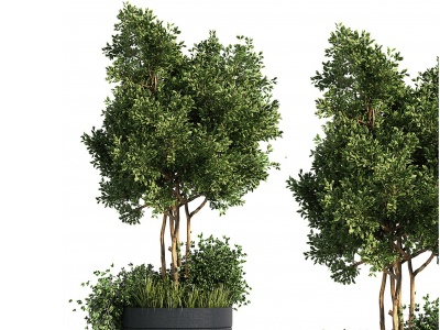 现代绿植模型3d模型