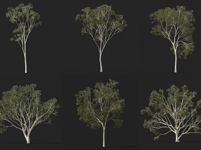 现代树景观树3d模型