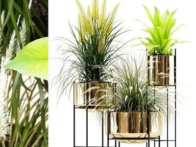 3d现代植物盆栽花盆模型