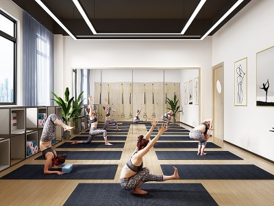 3d现代瑜伽房健身房模型