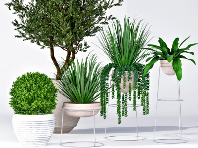 现代绿植盆栽花盆模型3d模型