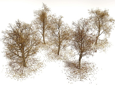 3d现代景观树枯树模型
