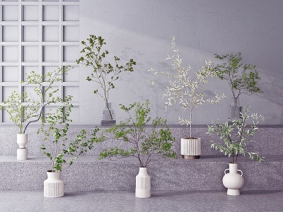 3d现代橄榄树五角槭盆栽模型