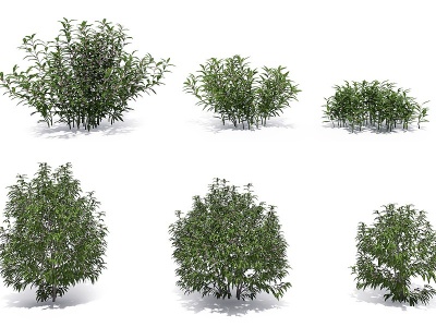 现代绿植灌木丛模型3d模型