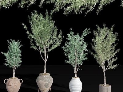 现代绿植盆栽模型3d模型