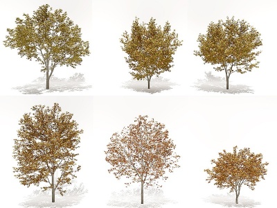 3d现代<font class='myIsRed'>秋季</font>树景观树模型