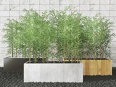 现代室外竹子盆栽模型