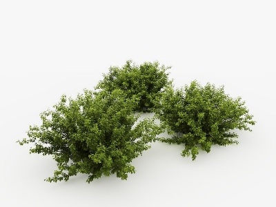 3d现代灌木草丛模型