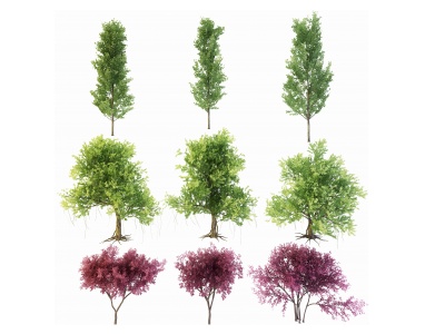 3d现代景观树模型