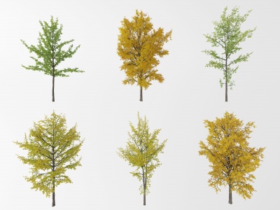 3d现代户外景观树模型