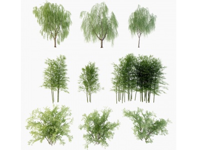 现代柳树竹子,模型3d模型