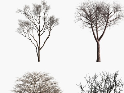 3d现代景观枯树模型