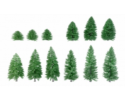 3d现代<font class='myIsRed'>塔松</font>景观树模型
