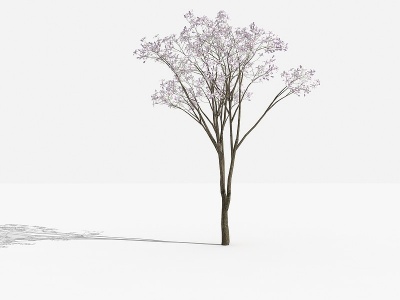 中式白花羊蹄树灌木模型3d模型