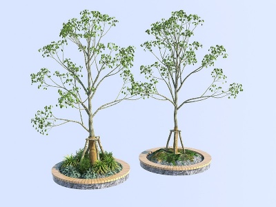 3d中式树景观树模型