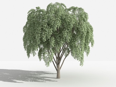 3d垂叶榕灌木树植物花草模型