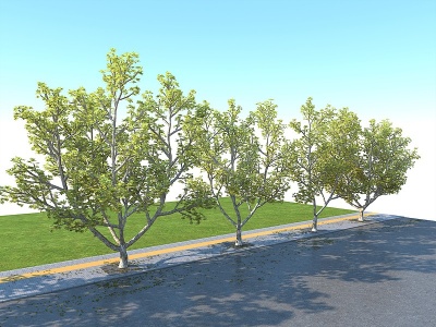 中式树景观树模型3d模型