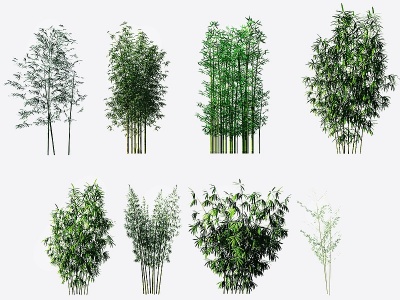 3d现代绿植竹子模型