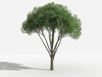 3d中式汗柳灌木树植物模型