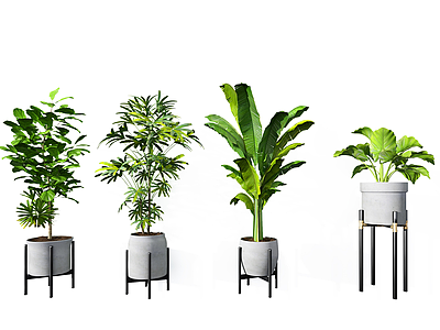 3d现代植物盆栽组合模型