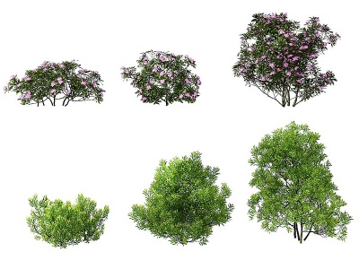 3d现代灌木植物,绿植模型