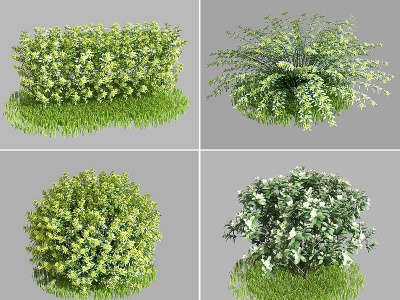 3d现代灌木花丛模型