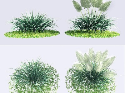 3d现代芦苇植物灌木模型