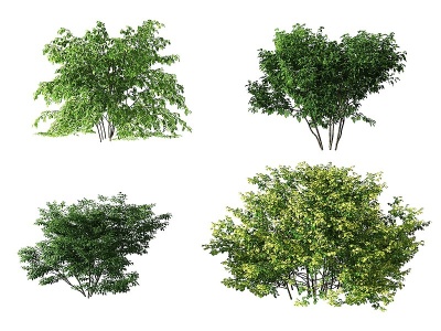 3d现代园林灌木绿植模型