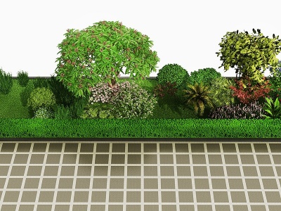 3d现代灌木花草植物模型