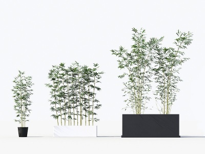 3d中式竹子绿植盆栽组合模型