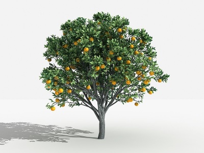灌木树植物花草模型3d模型