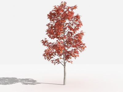 3d枫香灌木树植物花草景观模型