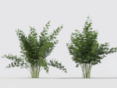 现代绿植竹子组合模型