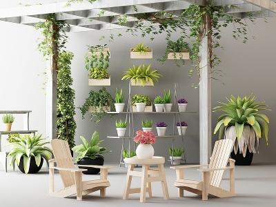 3d现代植物户外盆栽模型