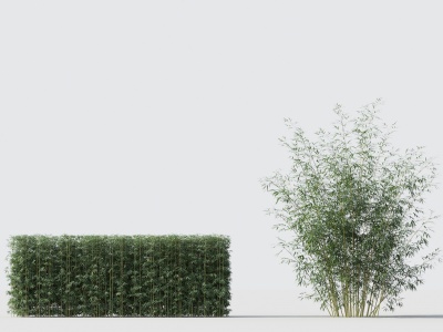 3d现代绿植竹子组合模型