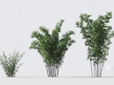现代绿植竹子组合模型3d模型