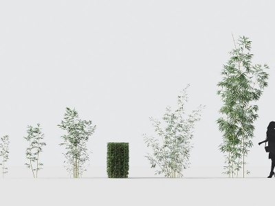 现代竹子植物花卉模型