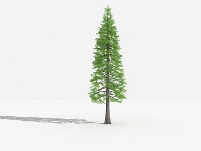 3d中式落叶杉灌木树模型