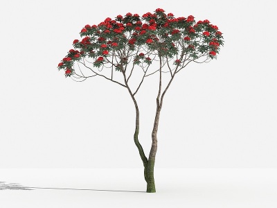 3d中式马缨花灌木树模型