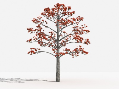3d中式木棉灌木树植物模型