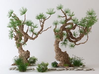 3d中式景观树盆栽树模型
