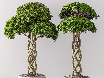 3d现代花草盆栽组合模型