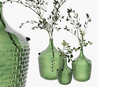 3d现代玻璃绿植花瓶模型