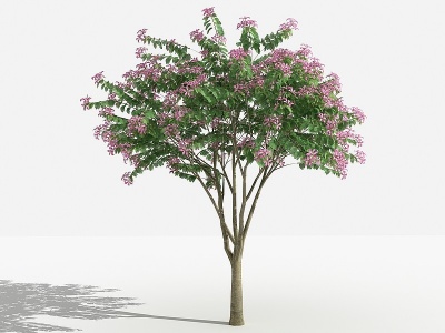 3d中式紫荆灌木树植物模型