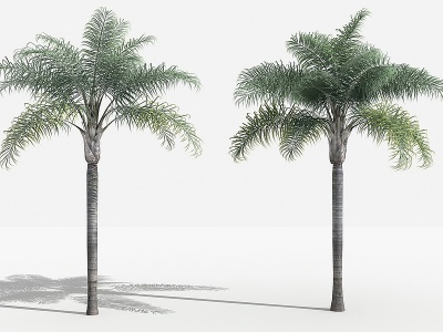 中式金山葵灌木树植物模型3d模型