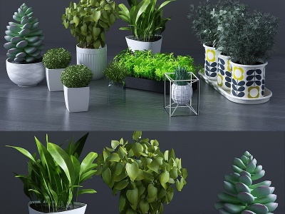 3d现代绿植组合模型