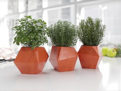 现代盆栽植物绿植模型3d模型