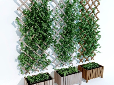 3d现代藤蔓绿植模型