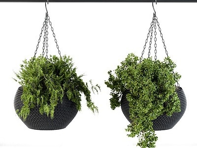 现代悬挂花盆植物盆栽模型3d模型