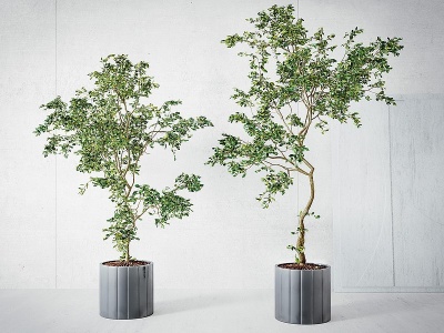 现代植物绿植盆栽模型3d模型